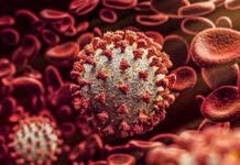 Paraíba confirma variante Alpha da covid-19