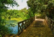 Sudema abre inscrições para colônia de férias em João Pessoa-PB