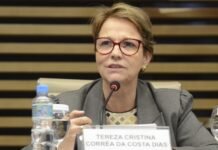 País pode ser principal player para investimentos verdes, diz ministra