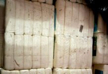 Sefaz-PB apreende três toneladas de queijo sem nota fiscal em João Pessoa