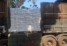 Sefaz-PB apreende carga de 21 toneladas de feijão preto na BR 101 sem documento fisca