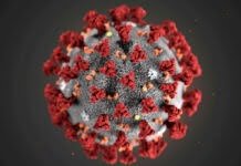 Variante Delta: Promotoria de Sousa recomenda proibição de eventos que gerem aglomeração