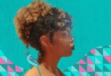 Projeto Cearte em Casa realiza última temporada do ano com novidades