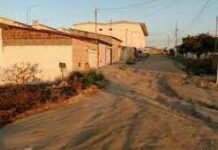 Mais de dez animais aparecem mortos por envenenamento na virada do ano no bairro dos Cuités