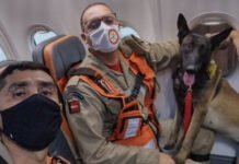 Bombeiros Militares da Paraíba auxiliam na busca por desaparecidos em Petrópolis (RJ)