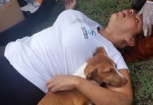 Mulher cai de moto ao desviar de cachorro e animal fica do lado dela durante os primeiros socorros