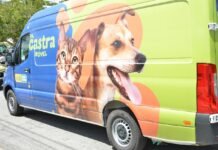 Centro de Controle de Zoonoses inicia agendamento para serviço do Castramóvel