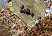 Ministra Rosa Weber suspende indulto que beneficiava policiais envolvidos no massacre do Carandiru