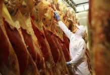 China suspende embargo à carne bovina brasileira