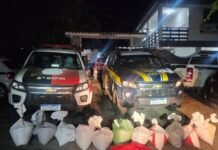 PRF e Polícia Militar prendem três pessoas com mais de 260kg de explosivo na Paraíba