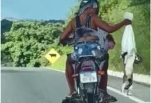 Polícia identifica casal suspeito de jogar animal de moto em movimento na Paraíba