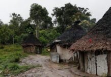Ataque a tiros em aldeia yanomami mata criança e deixa cinco feridos