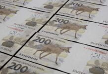 O programa “Desenrola”, criado para a renegociação de dívidas, começará nesta próxima segunda-feira (17).