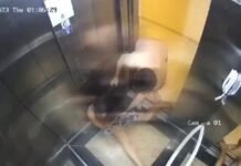 Advogado é flagrado agredindo mulher em elevador, em João Pessoa. Polícia investiga o caso.
