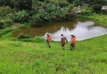 Ossada é encontrada em área onde Ana Sophia desapareceu e perícia investiga se é humana