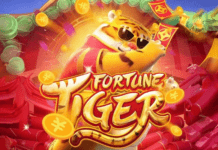 ALPB aprova projeto de lei que proíbe influenciadores de divulgar jogos estrangeiros na Paraíba