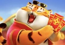 Comissão da Câmara aprova projeto de lei que proíbe divulgação de jogos de azar por influenciadores