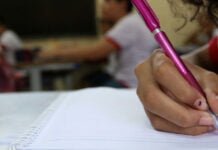 IBGE: veja ranking dos estados com maiores e menores taxas de alfabetização no Brasil