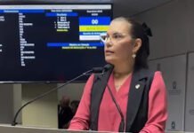 Projeto de Fabiana Gomes institui a Política Municipal de Atenção à Saúde Mental