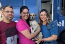 Mais de 250 Animais são castrados em um mês com as ações itinerantes do Programa Paraíba Pet