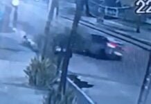 Vídeo mostra momento de colisão entre carro e árvore na Avenida Boa Viagem