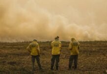 Incêndios e seca na Amazônia e no Pantanal batem marcas históricas