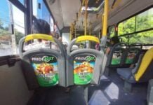 Defensoria recomenda Prefeitura de Campina Grande a retirar propaganda do tigrinho de ônibus