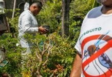 Dia D contra dengue promove ações de conscientização em todo o Brasil