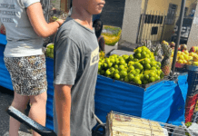 Operação retira 111 crianças e adolescentes de trabalho infantil na Paraíba