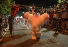 Governo lança edital Prêmio Paraíba Folia para apoiar e incentivar agremiações carnavalescas