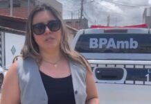 Waléria Assunção participa de Operação Quatro Patas, ação iniciada durante sua gestão na Gerência de Causa Animal