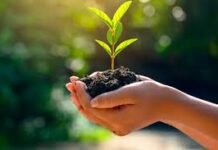 Governo do Estado realiza 5ª Conferência Estadual do Meio Ambiente