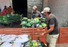 Governo da Paraíba distribui 530 toneladas de sementes em toda a Paraíba