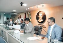 Câmara debate projetos em defesa do direito de escolha da gestante