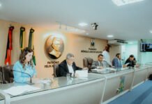 Câmara aprova 102 requerimentos e discute implementação das leis municipais