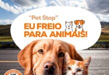 Waléria Assunção promove “Pet Stop – Eu Freio para Animais!” no Maio Amarelo nesta sexta-feira (23)