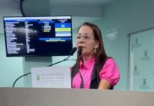 “Enquanto a cidade sofre, prefeitura planeja cartão corporativo de mais de R$ 550 mil”, alerta Aninha Cardoso”