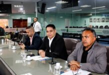 Câmara aprova audiências públicas sobre VLT e requalificação da Feira Central