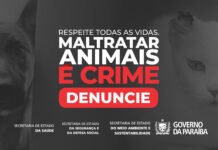 Governo da Paraíba lança campanha ‘Respeite Todas as Vidas: Maltratar Animais é Crime’, neste sábado