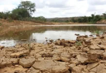 Governo Federal reconhece emergência por estiagem em três municípios da Paraíba