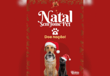 Natal Sem Fome Pet: Waléria Assunção lança ação solidária de arrecadação de ração