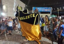 Bois de carnaval se reúnem no próximo domingo na Vila Cabral de Santa Rosa