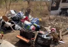 Tragédia em rodovia de Alagoas: ônibus capota após romaria e deixa 15 mortos