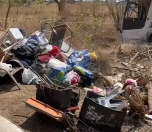 Tragédia em rodovia de Alagoas: ônibus capota após romaria e deixa 15 mortos