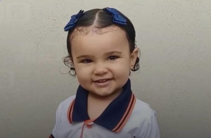 WhatsApp Image 2026-03-27 at 19.41.55