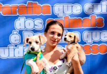 Adota+ Paraíba realiza 425 procedimentos e atende 165 animais em Campina Grande
