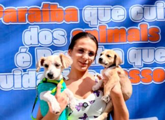 Adota+ Paraíba realiza 425 procedimentos e atende 165 animais em Campina Grande