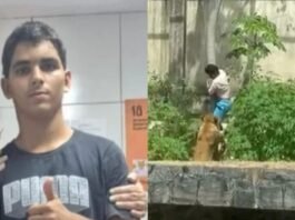 Justiça arquiva inquérito sobre morte de jovem atacado por leoa na Bica em João Pessoa