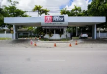 Justiça determina que Prefeitura de João Pessoa crie plano para controle de zoonoses e proteção de animais