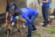 Ação integrada mobiliza forças de segurança na Operação Quatro Patas 2026 em Campina Grande